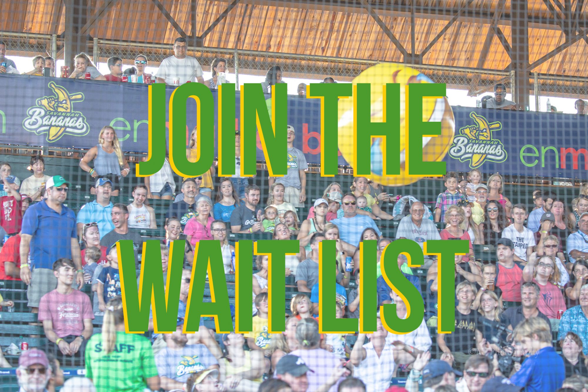 Tickets The Savannah Bananas