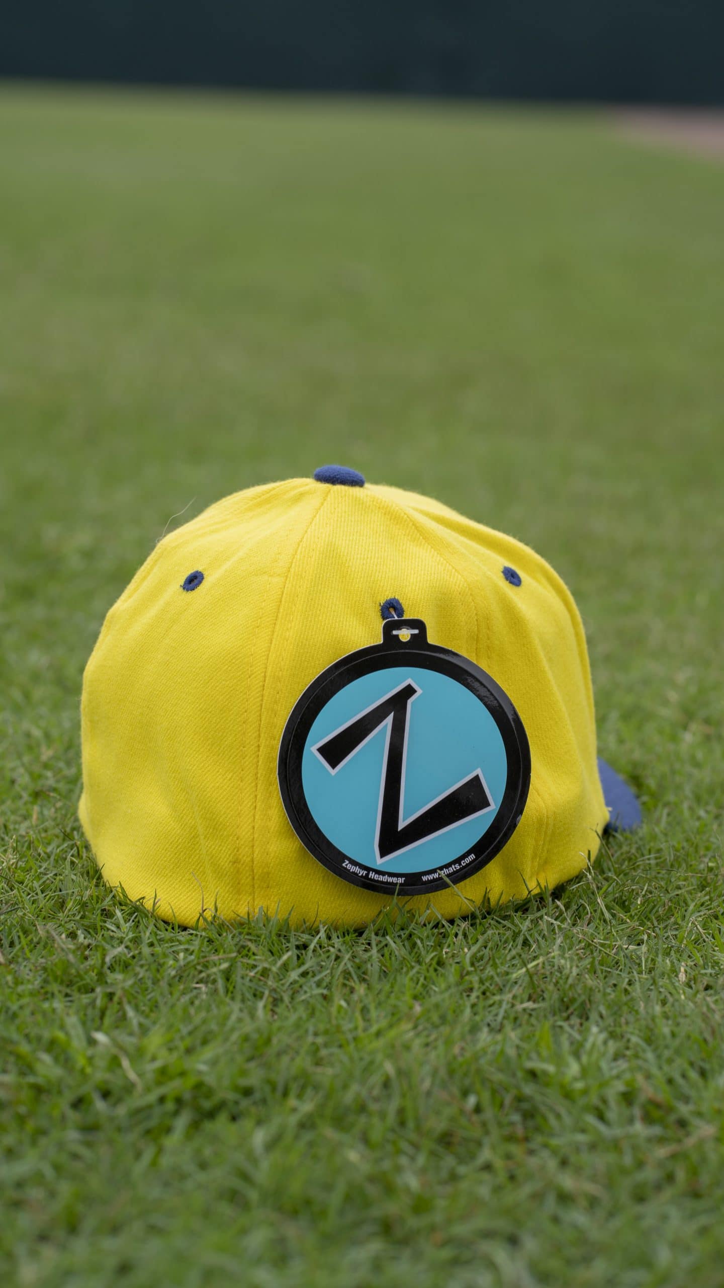savannah bananas hat