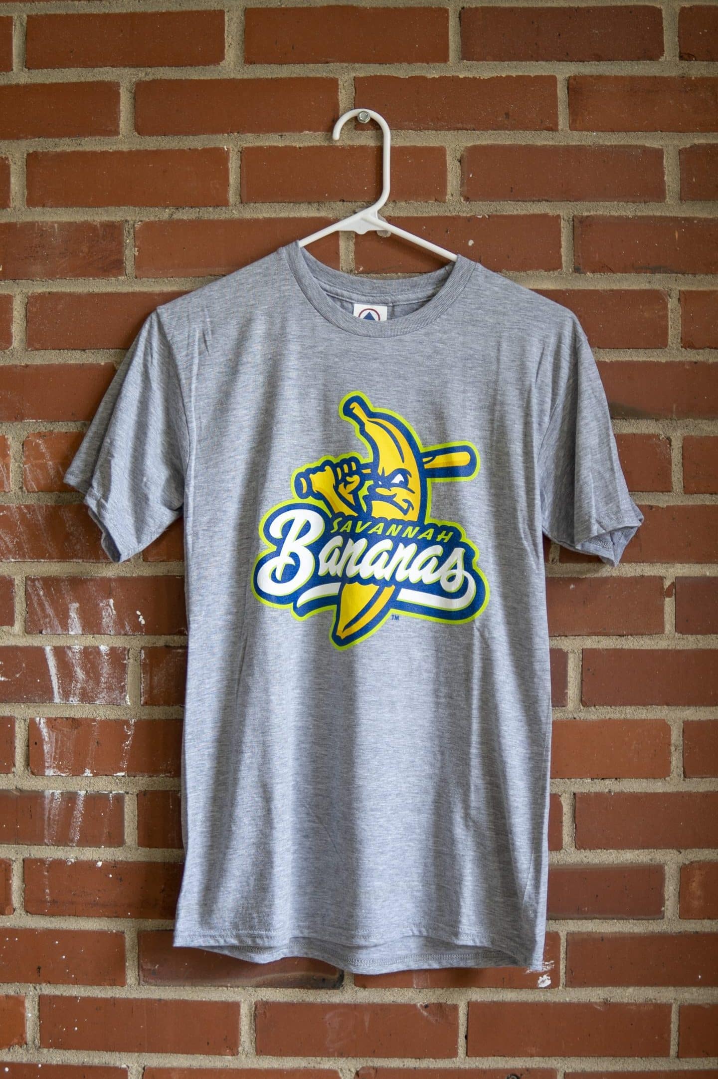 Premium Gray Full Logo The Savannah Bananas