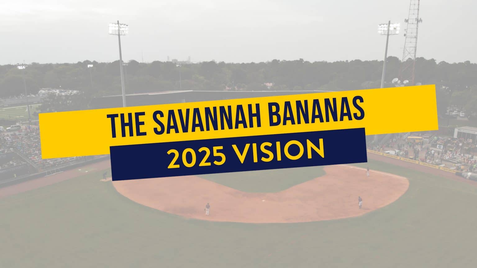 The Savannah Bananas 2025 Vision The Savannah Bananas
