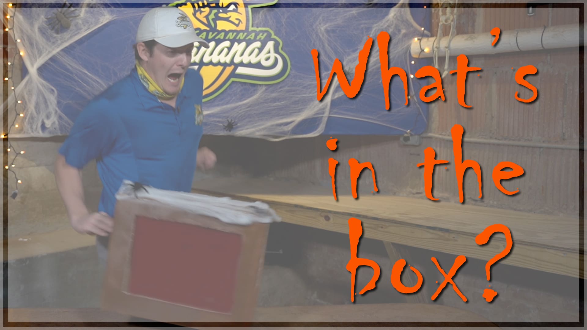 Savannah Surprise Box