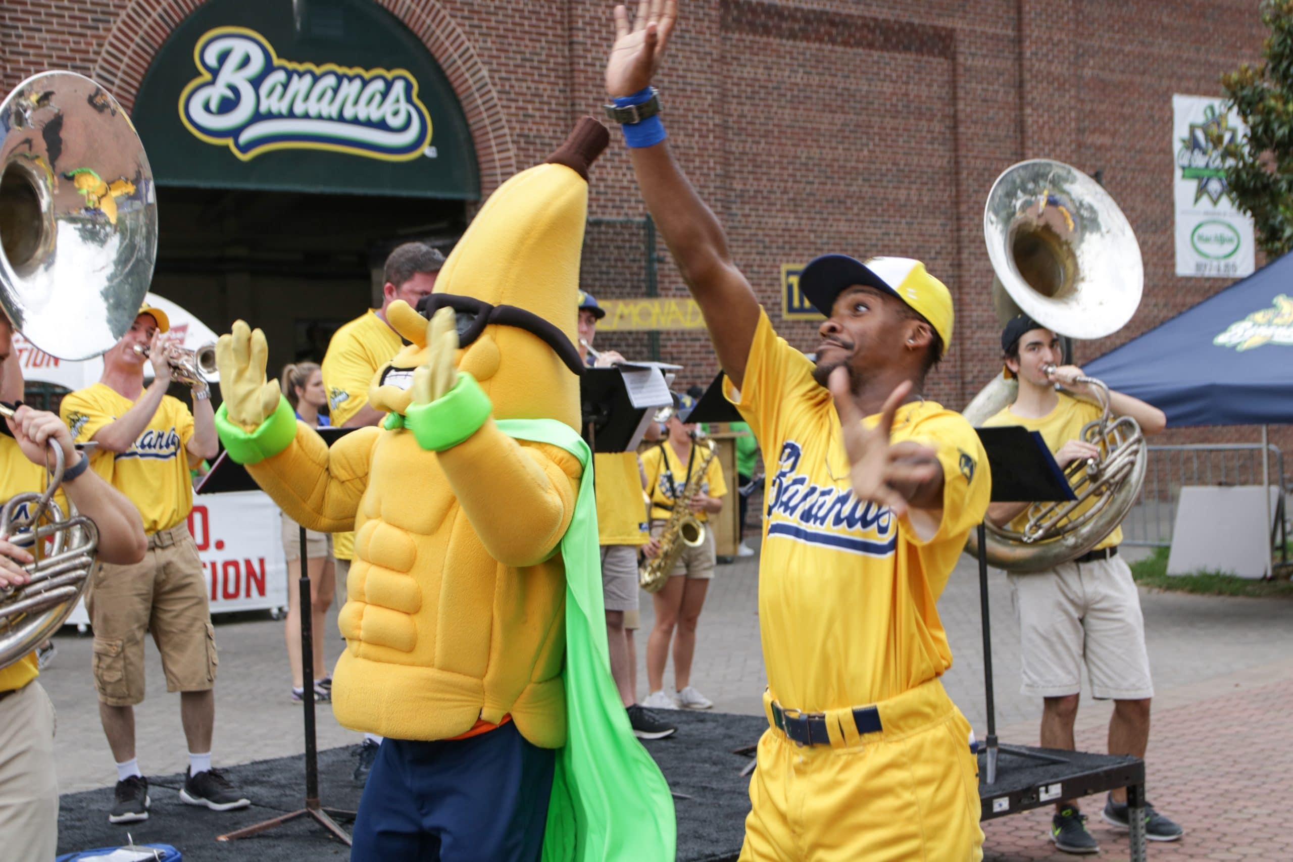 Things to Know About the Savannah Bananas - Maury County Source